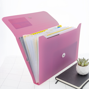 Bazic 13-Pocket Expanding File Morandi Edition Folder color may vary