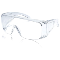 Ward Safety Clear Glasses