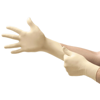 Latex Gloves Clear Non-Sterile 10Pk