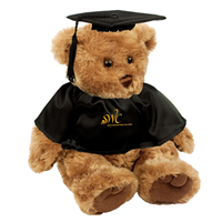 Graduation Teddy Bear